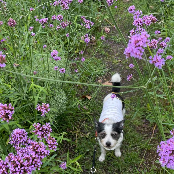 1eb19af7 91a6 4555 8db6 9c1c78cc528e 1688643254279