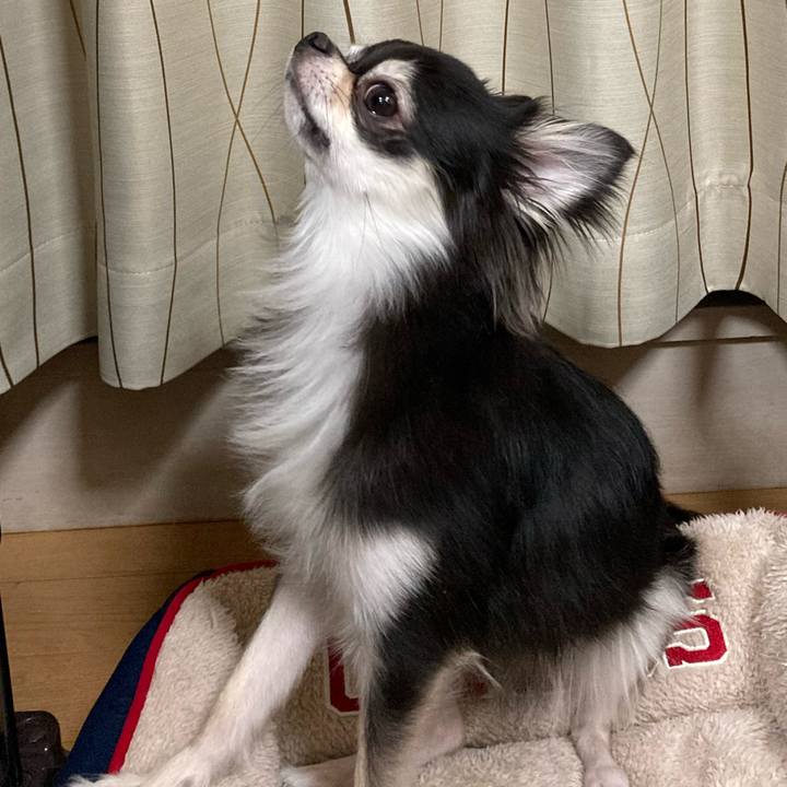 1eb1a19a 7f3d 42b1 9bc3 81be527d3641 1635082899825