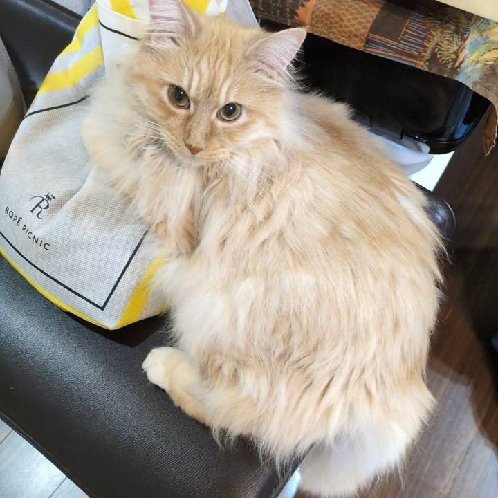 1eb1ab7c cb2e 482d b518 25bc7528cfc7 1747660308976