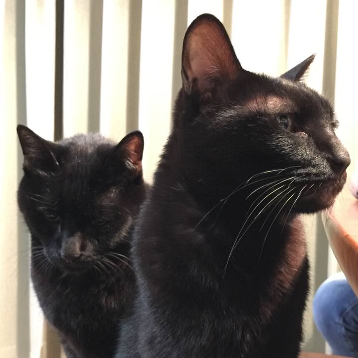 1eb1bc96 6d6a 4550 80db 29989c6c9dc5 1514808545268