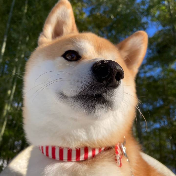 1eb1d770 a644 4875 8555 a8d36e3583be 1641116816046