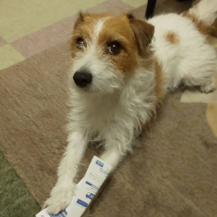 1eb20d95 3f15 4db2 99c4 92d9ac327939 1600420272494