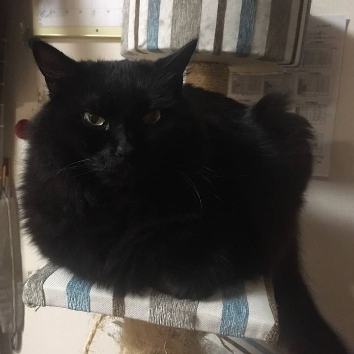 1eb2240a 544a 443d 8d70 3e652628616f 1558355972688