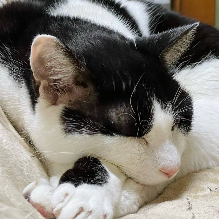 1eb23b3d a885 4e01 9048 4597e8fa617d 1646446969840