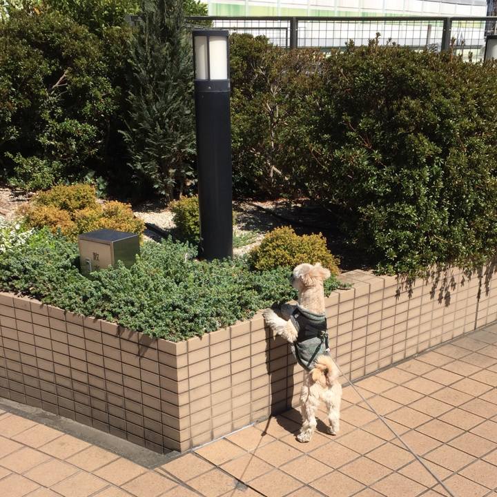 1eb24e2d ef6e 4452 bcf1 718699fc929e 1553418909407