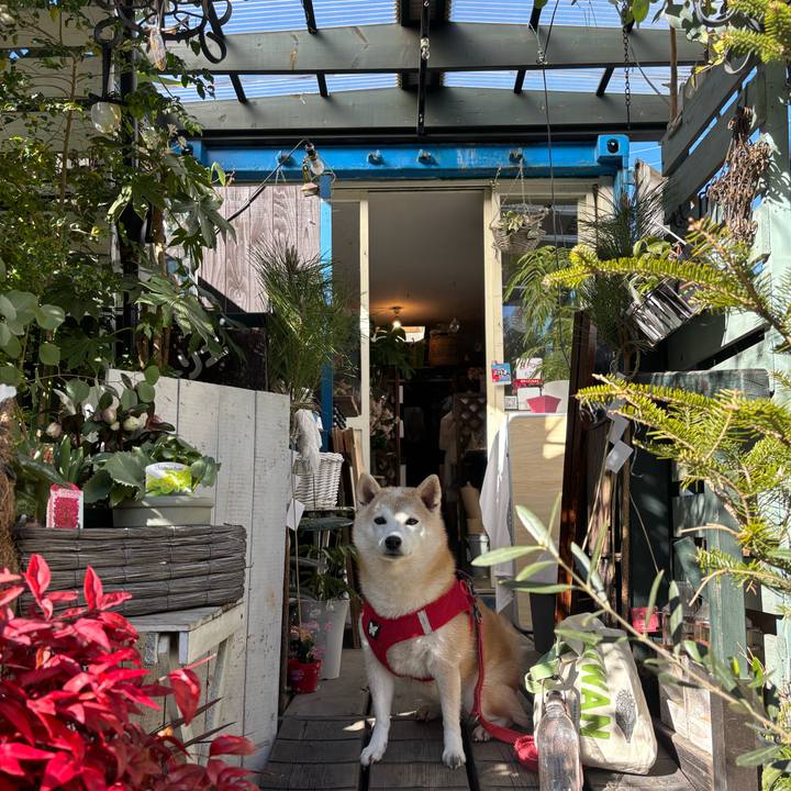 1eb26227 1340 4379 8821 d043d68d5894 1736715946761