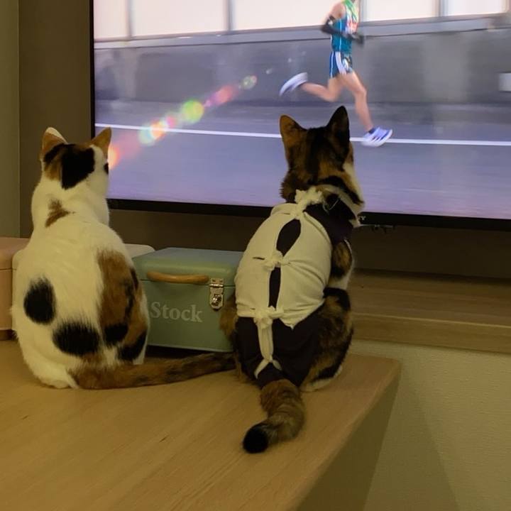 1eb263ea a6a9 41c5 a2b3 712d7cd150fb 1767342277592