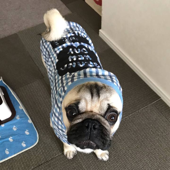 1eb275f8 977e 4c97 9294 7425a5a8aff8 1547953321553