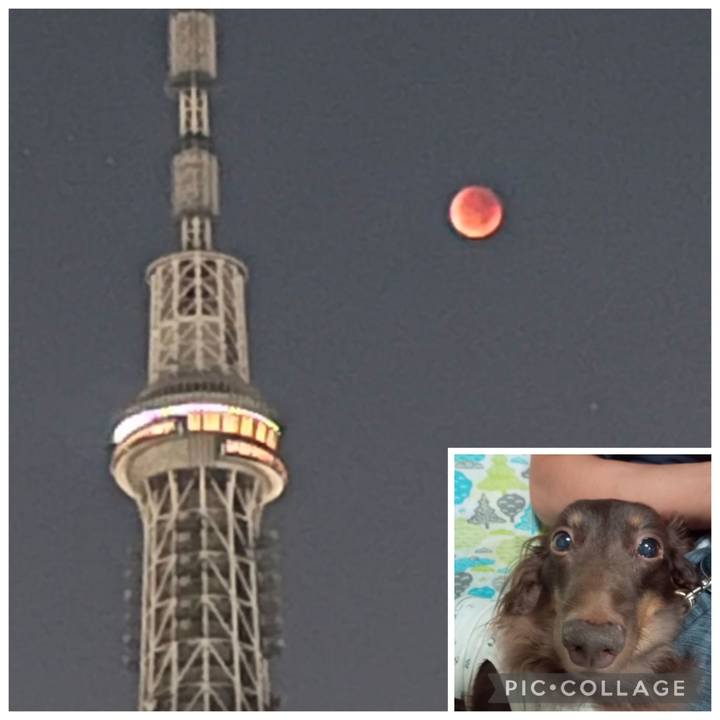 1eb2dfed 8758 4799 8f62 80cfed6a251c 1757368156659