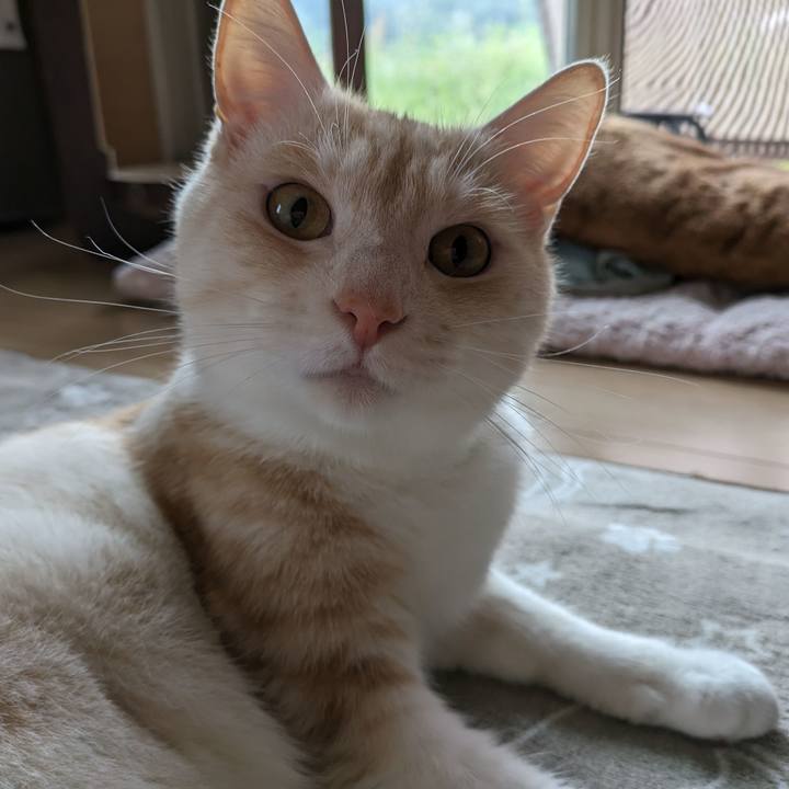 1eb2e4be 6d0d 47f8 ab52 d678ffa0ac57 1685275418461