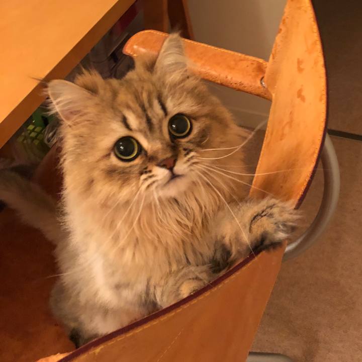 1eb2e9c9 222a 4e3a a722 f3e6797b826f 1530104610858