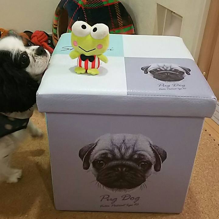 1eb2f442 8eb4 4272 b806 6dc066c61483 1543056002709