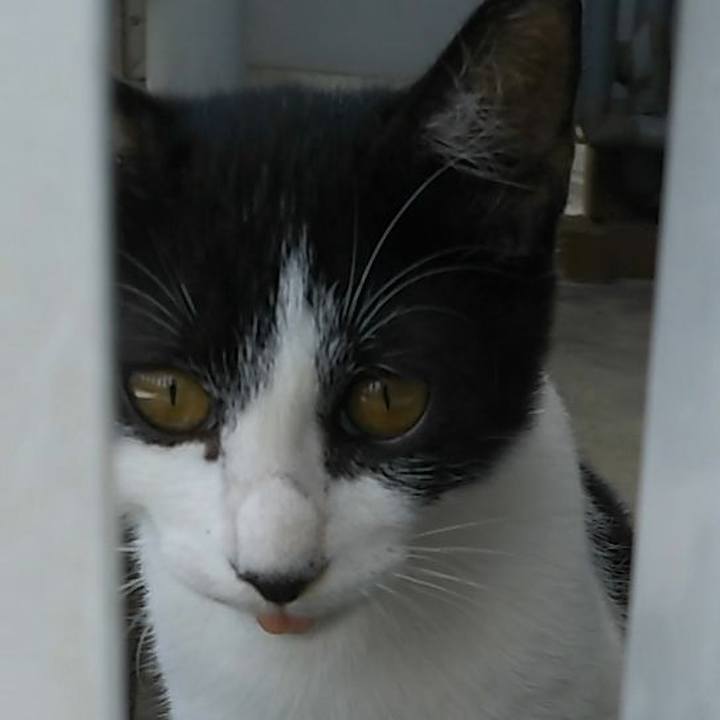 1eb3143b e73a 4f05 8fdd eed2f9db9af9 1534906717662