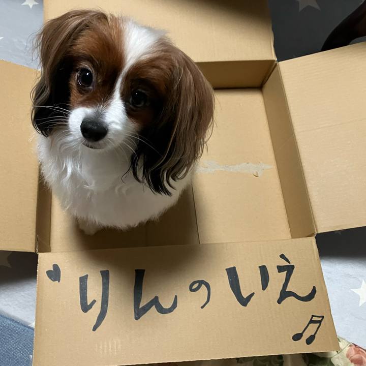 1eb35675 76bc 48ca be67 24ce4a168e8f 1721817979899