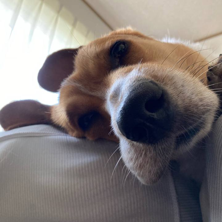 1eb39af2 6850 4d2f a361 243c51d7b1c8 1663372843227