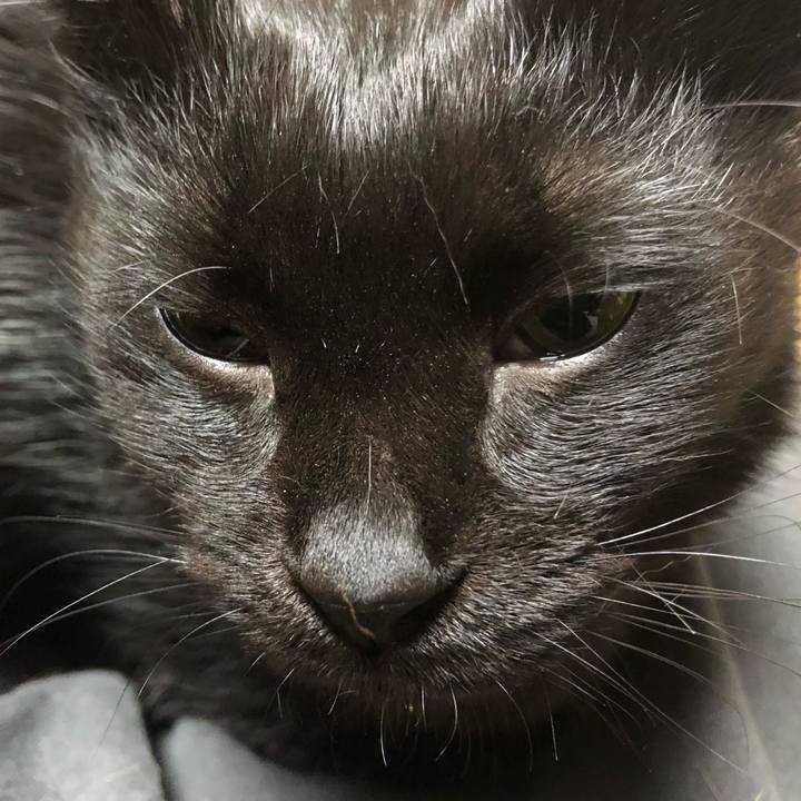 1eb3ce3e 38fb 4b91 ad7c 2f92bca7ffe0 1616403721000