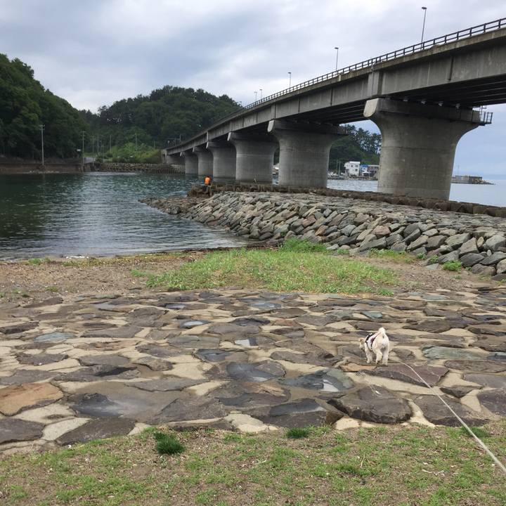 1eb40df8 ca04 41ca 8390 249276c059e1 1530256041687