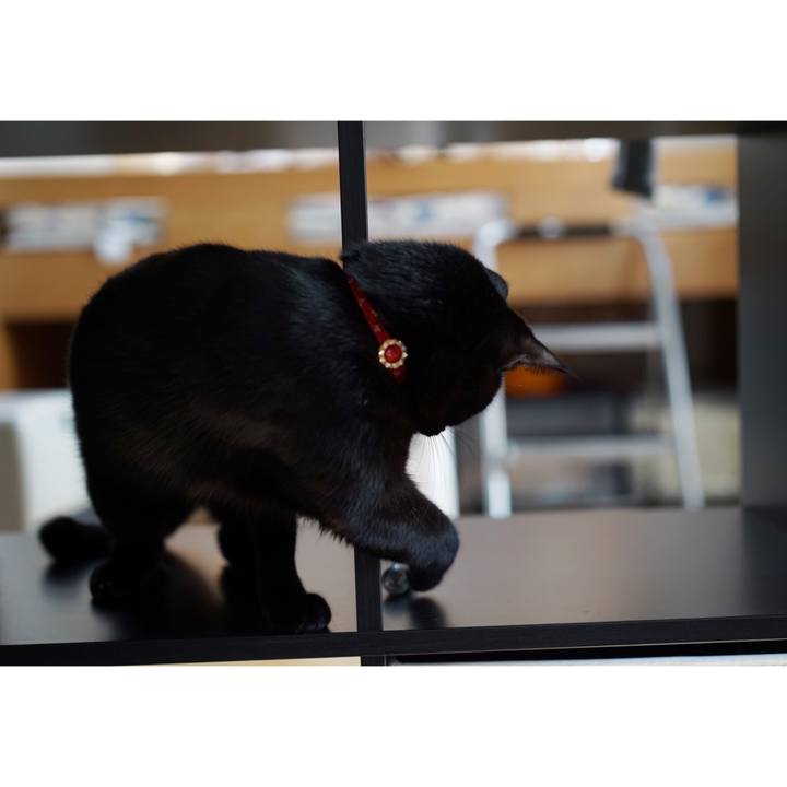 1eb436c9 1716 485d 9599 9670d9b8aed1 1551065589210