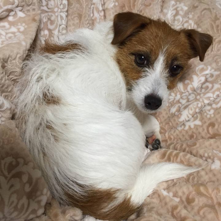 1eb499e6 bc65 4102 8eaa 13e21b1e72fd 1511704233967