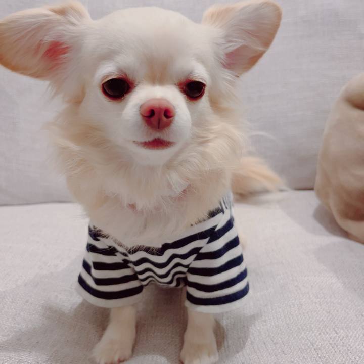 1eb4b8db 982a 4ce8 a4bc 27828c902eba 1705492511984