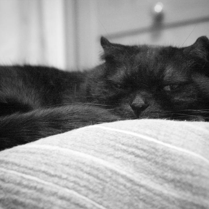 1eb4db5c ec8e 42e8 9b14 acf960de9b3c 1537539171077