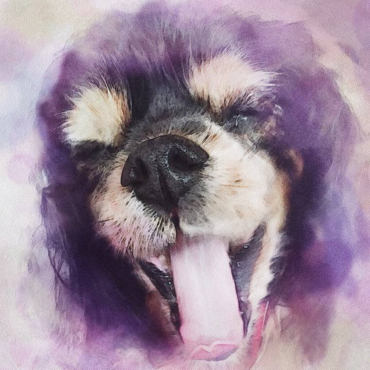 1eb50867 0531 4d44 ad27 372c221ddb2b 1528641213431