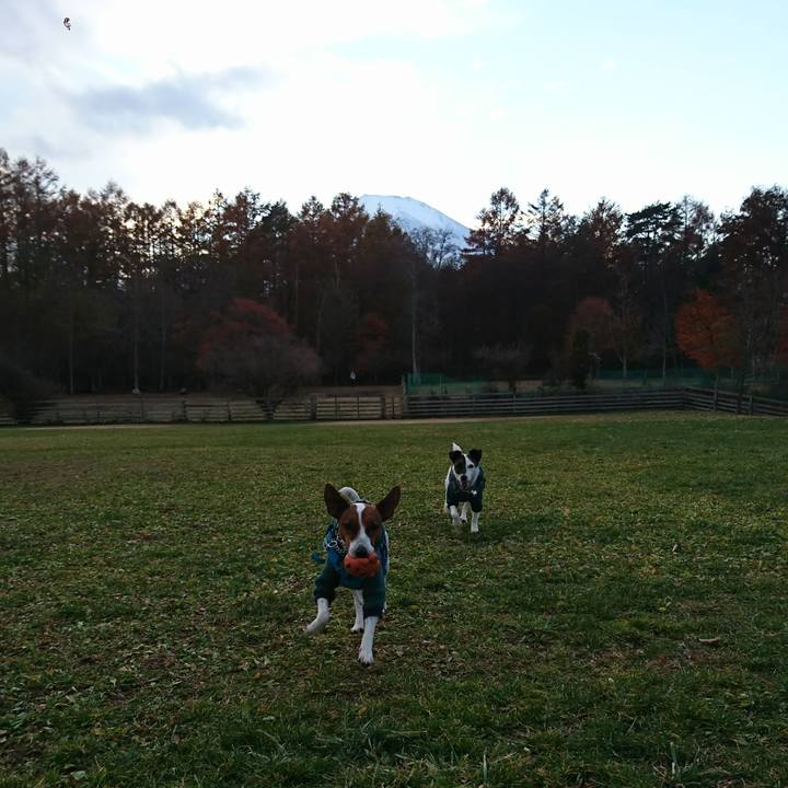 1eb53449 15bd 44dd 80d8 7bb6c1691f0e 1604822873331