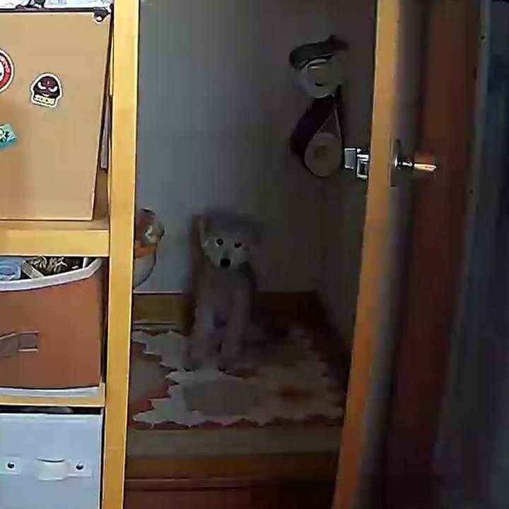 1eb5354c 3104 4fc1 8e12 ec95144e2920 1607315916858