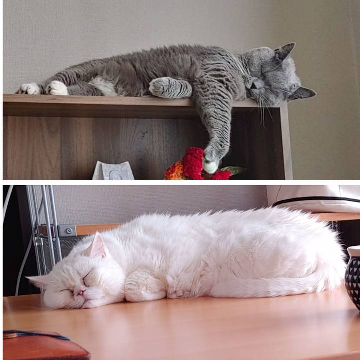 1eb55342 68f9 4d1b ab13 8e1ce83ae9fc 1661051322363