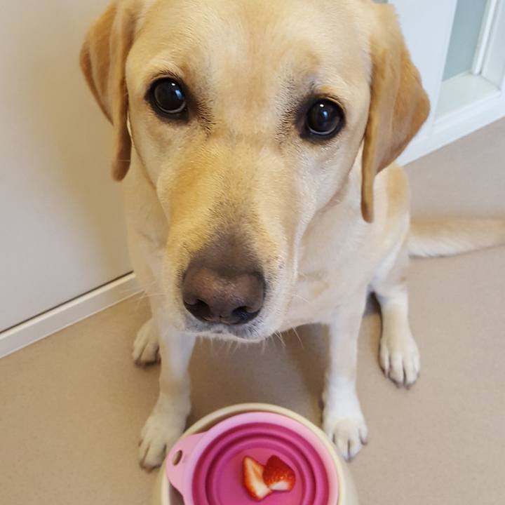 1eb555f5 83c2 4b14 bd89 db921fd7aaa4 1546347725079