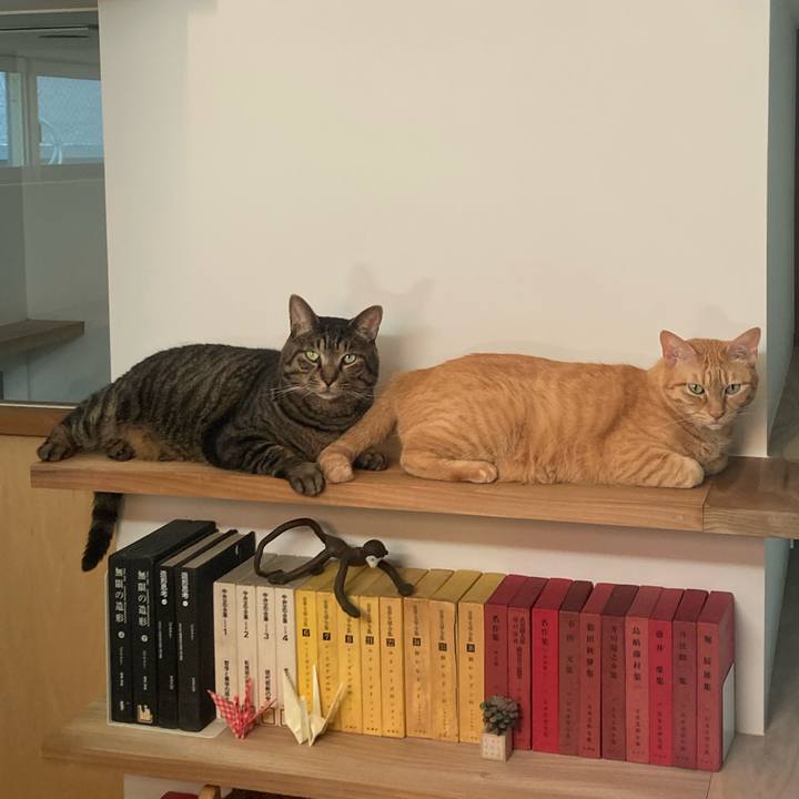 1eb5617b 8b9d 491e b0c6 6a21622205b8 1724157785194