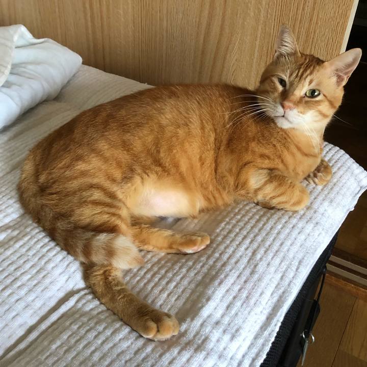 1eb562f3 0f28 457b 8efc f4dd975a0e01 1599512836718