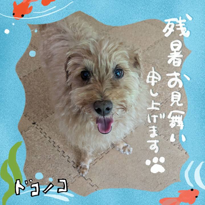 1eb56910 1b89 4277 bdd6 516d9a369574 1723242242368