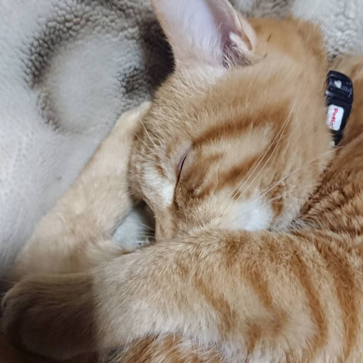 1eb576be 9800 493c aa78 4a0521713fe9 1639598709487