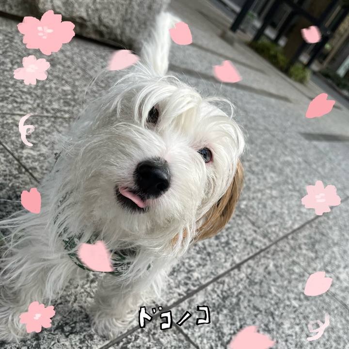 1eb5ab9b e158 48b3 90f6 215841158aa0 1744553150536