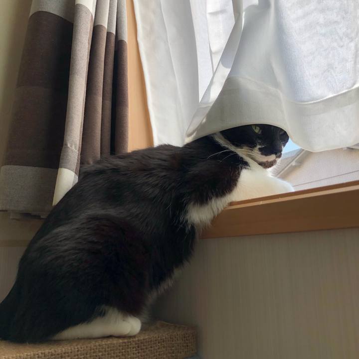 1eb5ad50 fbb9 4bad 8a12 4bddce1f7f9f 1654200997321