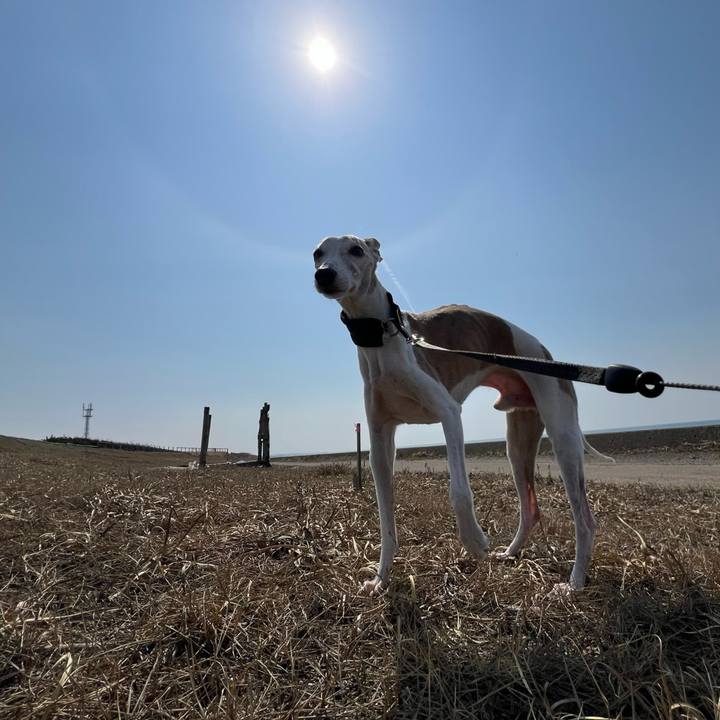 1eb5b1f8 3829 49cd 899b 2fba0779e1d1 1774426962001