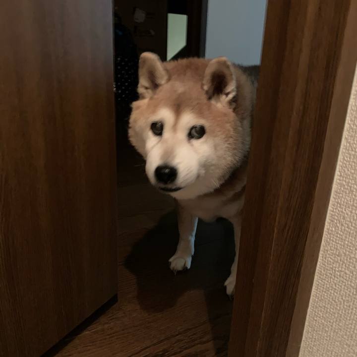 1eb5d7f6 5b1e 4c99 9ee3 3d8d93131975 1629442769440