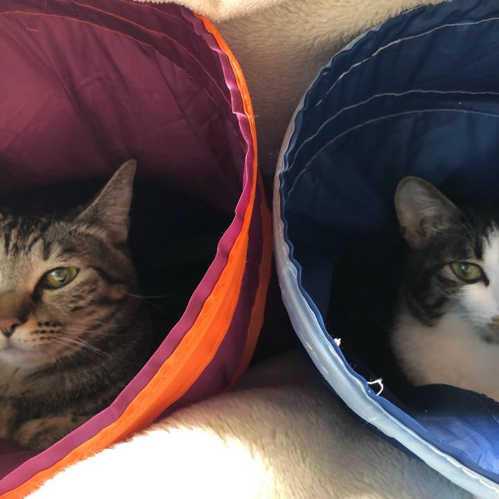 1eb5daf9 e974 4c95 a5ec 9934e13c6f55 1542000764533