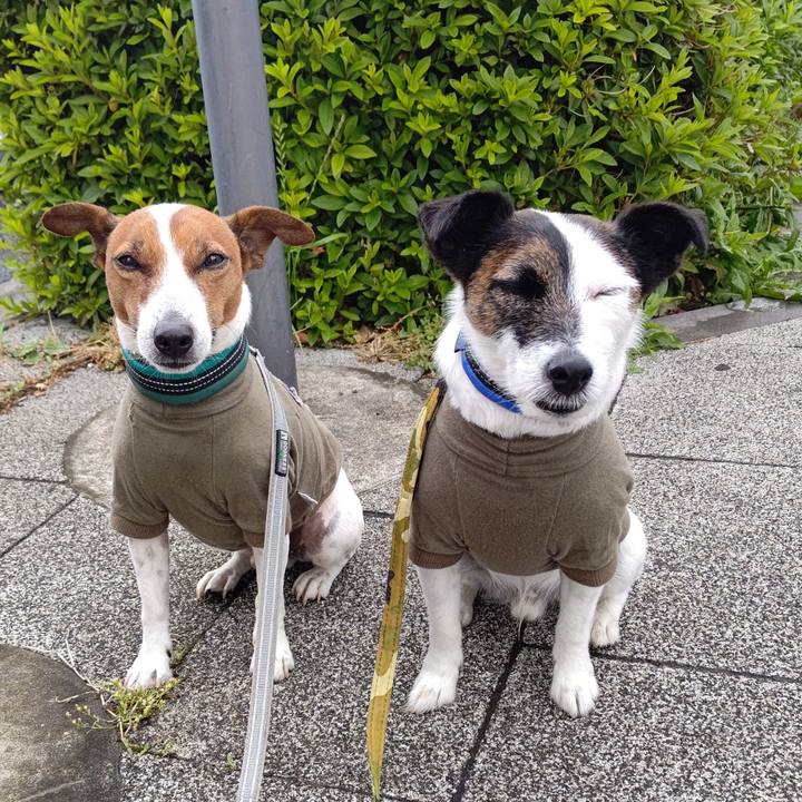 1eb5f948 f9b1 49b8 bfd9 f0a0951ab0b5 1683938751533