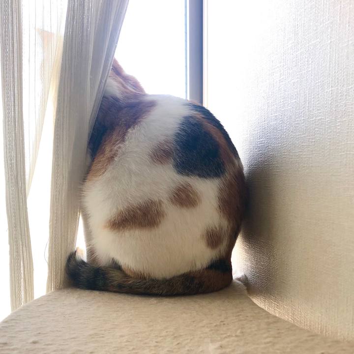 1eb61109 981b 42cf ba2c 38726915e549 1586566476642