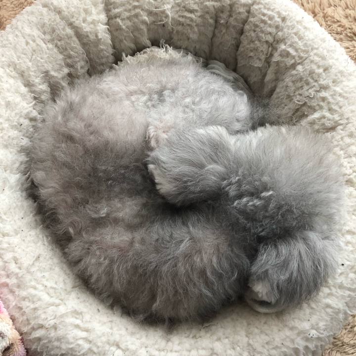 1eb62972 1017 4698 9f36 11ee8e204980 1616304687063