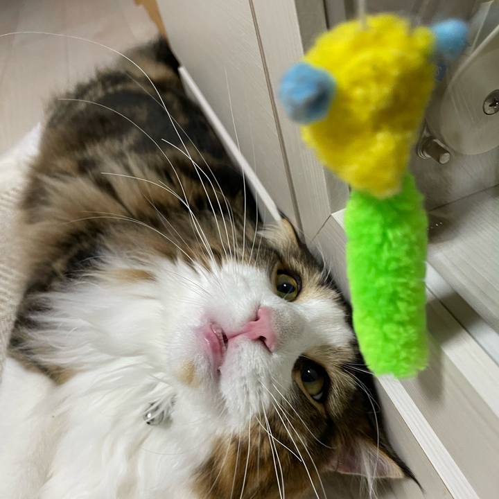 1eb634b1 6d26 48d8 b076 40d0893bb2da 1645708436453