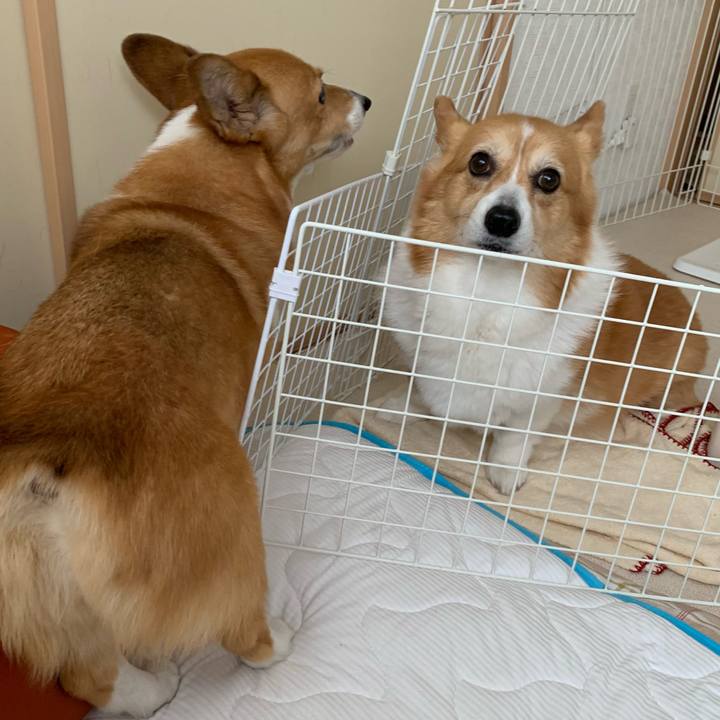 1eb64b41 b7df 479d a0c0 7c9fd036b7d8 1718067017815