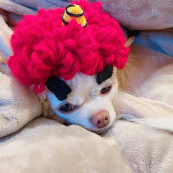 1eb65935 a2bd 416c 9631 1040905c209d 1706871041080