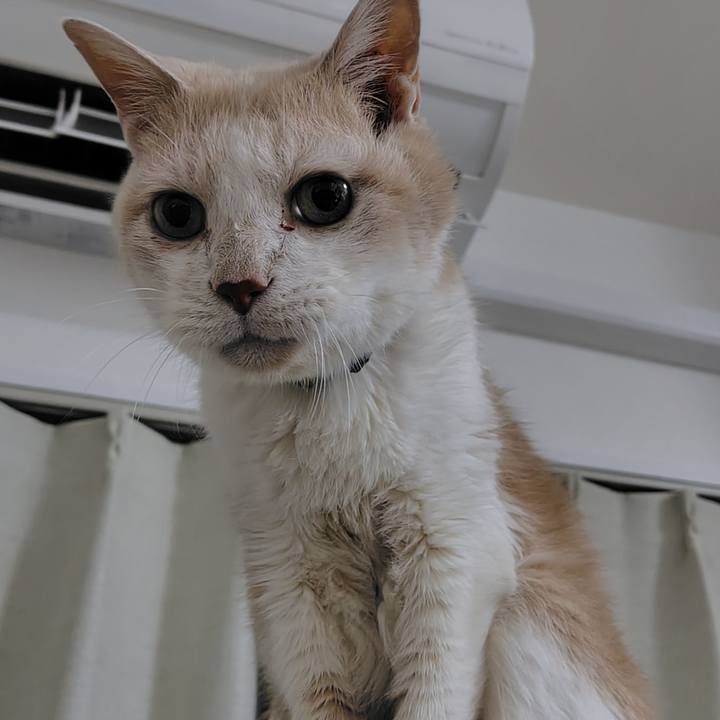 1eb65e37 93f3 4242 9d25 aaa7a850d806 1768910195142