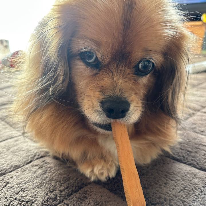 1eb680d1 cbf4 4bec 8b77 716b8fb26ef6 1740365816834