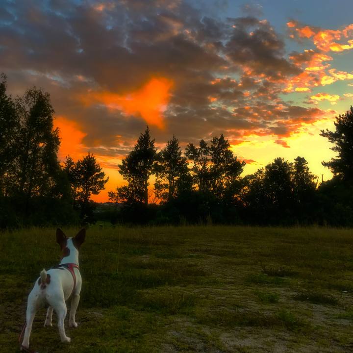 1eb68fd2 d0d1 450b 8fff 332bb43084ad 1508924989190