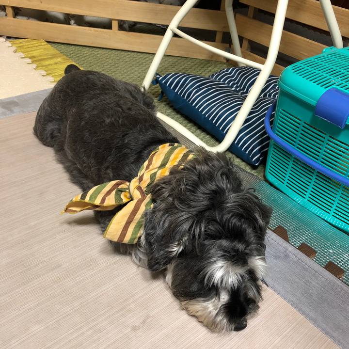 1eb6ade2 e501 47d3 9a4c f840732442c0 1630232787615