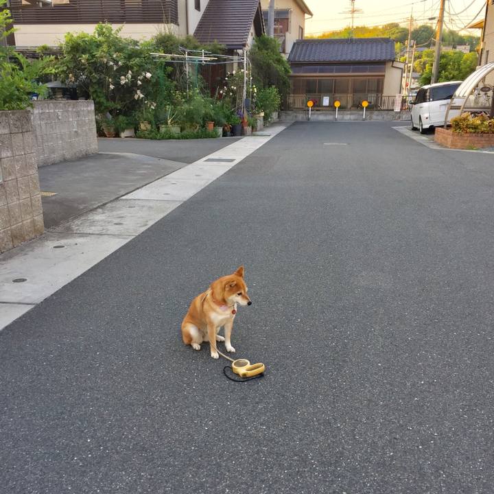 1eb6c5a0 db79 4836 9b5a 12ebd7f68524 1527853997019